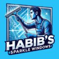 habib sparkle window (light blue).jpeg